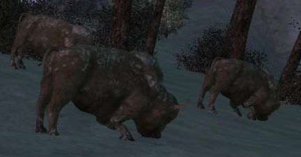 boleny.jpg